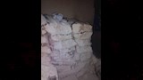 احتراق المخبز