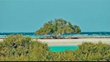 شاطئ داخل محمية وادي الجمال_2_15