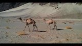 محمية وادي الجمال بمرسى علم (5)