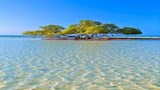 محمية وادي الجمال بمرسى علم (6)