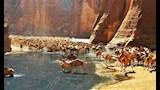 محمية وادي الجمال بمرسى علم (12)