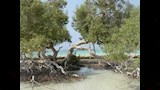 محمية وادي الجمال بمرسى علم (14)