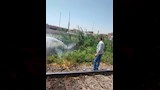 اندلاع حريق بجوار شريط السكة الحديد في بني سويف (1)