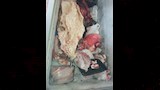 ضبط لحوم فاسدة في حملة رقابية (4)