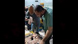  ضبط 1.5 طن دواجن منتهية الصلاحية بقليوب (5)