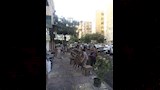 محافظ الإسكندرية يقود حملة مكبرة (10)