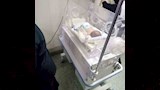  الصحة تكشف تفاصيل حريق قسم الحضانات بمستشفى كفر الزيات (1)