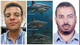جامعة القاهرة تعلن اكتشاف "مقبرة لأسماك القرش" عمرها أكثر من 70 مليون عام 