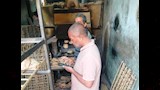 التفتيش على مخابز نصر النوبة