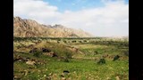 جبل علبة (1)_1_11