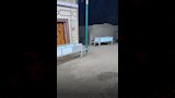 نعوش الصغار أمام المسجد_6