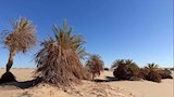 دروب صحراوية قرية من قرى غرب الموهوب بالداخلة