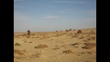 صحراء غرب الموهوب