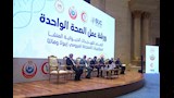 الدكتور مجدي حسن، نقيب الأطباء البيطريين (2)