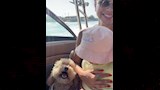 أحدث ظهور ويارا السكري
