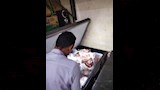 التفتيش على محلات المواد الغذائية