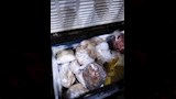 ضبط لحوم غير صالحة للاستهلاك الآدمي