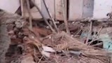 "الدار وقعت علينا".. أسرة تنجو من الموت بعد انهيار منزلها بسبب زلزال المنوفية - صور