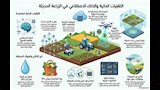 النشرة (10)