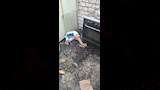 حريق الأقصر (1)
