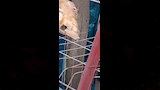 حريق الأقصر (4)