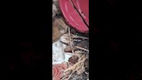 حريق الأقصر (6)