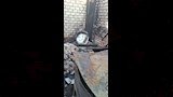 حريق الأقصر (9)