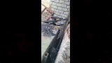 حريق الأقصر (5)