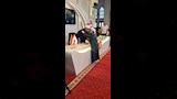 أب وابنه يتنافسان في مسابقة دولة التلاوة بأسيوط (4)