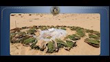 هيدرو بـ1.4 مليار جنيه و9 مخازن سرية.. ماذا وجدت الداخلية في صحراء القنطرة شرق؟