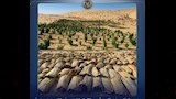 هيدرو بـ1.4 مليار جنيه و9 مخازن سرية (3)