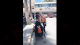 إنقاذ مُسنة بلا مأوى (6)