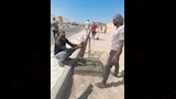 صب أساسات الأعمدة