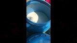 ضبط لبن مليء بالحشرات والشوائب في حملة بالفيوم (2)