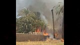 إخماد حريق ضخم في أشجار وحشائش بقرية بالمنيا