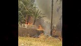 إخماد حريق ضخم في أشجار وحشائش بقرية بالمنيا
