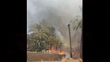 إخماد حريق ضخم في أشجار وحشائش بقرية بالمنيا