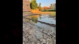 أراضي وسط المنازل مغمورة بالمياه