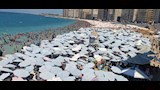 وصلت لـ 90%.. المصايف تعلن نسب الإشغالات بشواطئ الإسكندرية - صور