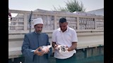 التضامن تتسلم 3 طن لحوم من الأوقاف