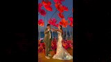 رقص ملك قورة وخطيبها (1)