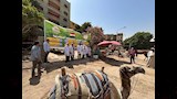 خدمات ركوب الخيل والجمال بالأهرامات (3)