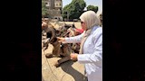 خدمات ركوب الخيل والجمال بالأهرامات (5)