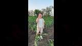 فرحة الطفل يوسف بالنزهة