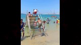 شواطئ الإسكندرية اليوم (1)