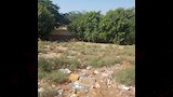  طلاب الفشن الثانوية ببني سويف مشتتون بين المدارس منذ 4 سنوات  (2)