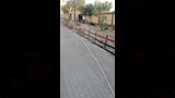 اعمال التجميل _3_11