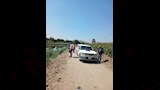 تحرك عاجل لمحافظ الشرقية بعد ظهور تمساح في مصرف الزوامل (6)