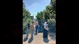 تحرك عاجل لمحافظ الشرقية بعد ظهور تمساح في مصرف الزوامل (4)