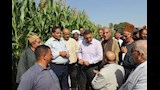 جولة لمحافظ القليوبية بين حقول ومزارع ميت كنانة (3)